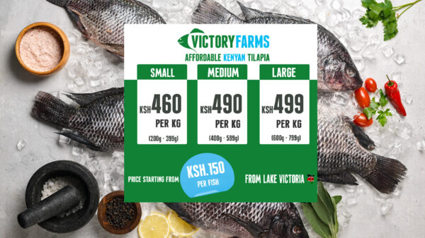 Tilapia by the size and Kg